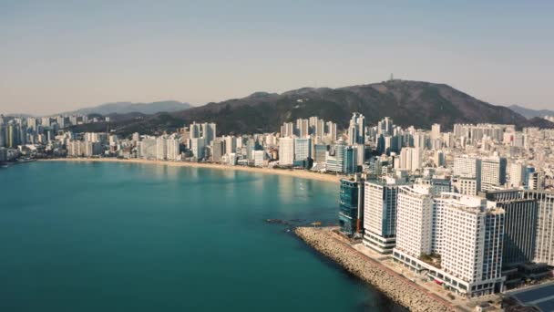 Aerial View Gwangalli Beach Busan — Stockvideo