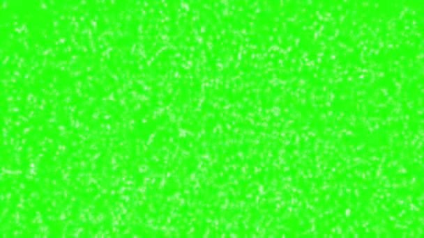 Water Bubbles Chroma Key Green Screen Background Soap Bubbles Fly — Stock Video