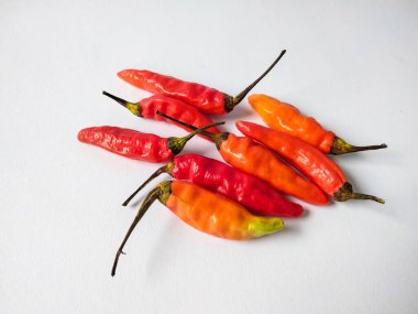 Kırmızı arnavut biberi ya da Cabe Rawit merah izole edilmiş beyaz arka plan