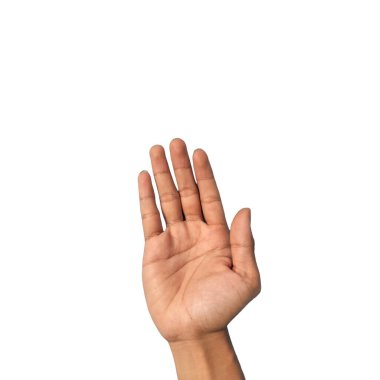 Adamın eli beyaz arkaplanda izole.