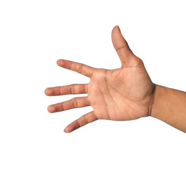 Adamın eli beyaz arkaplanda izole.