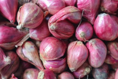Pazarda satılmak üzere taze soğan yakın plan.