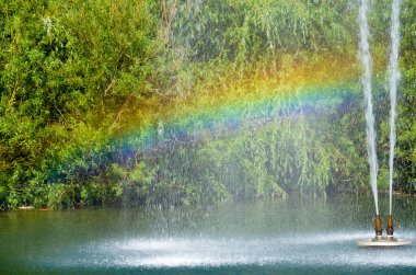 Parkta gökkuşağı