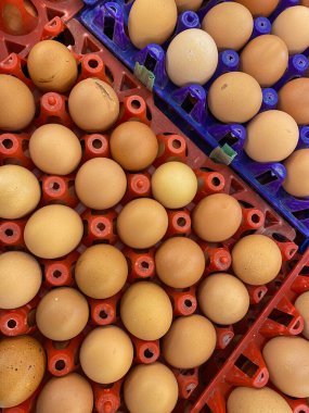 Plastik bir kutuda taze organik tavuk yumurtaları