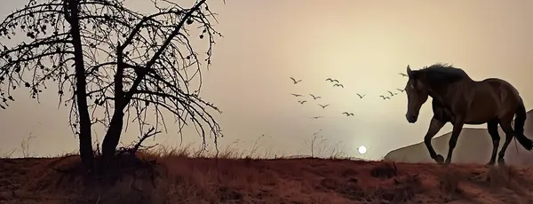 Güneşin battığı yaz gününde, otların ve kuru ağaçların arasından doğa ölü görünür, ve burada at ve kuşlar sahneyi canlandırır ve filme hayat verir..