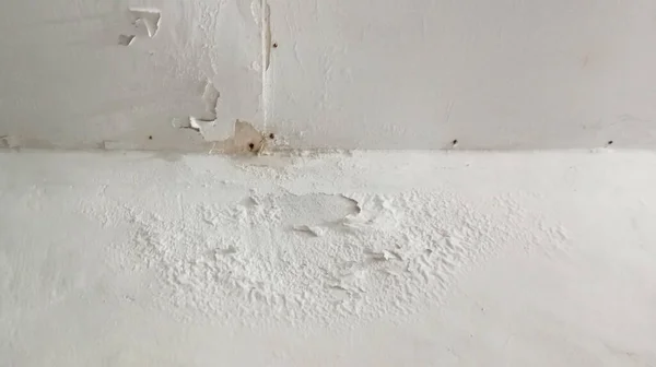 white walls are falling off, peeling off due to moisture, old wall texture background, texture of a white concrete wall with a scratches and cracks be used as a background