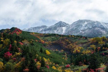 Tokachi-Dake dağlarındaki renkli yaprakların manzarası, Hokkaido.