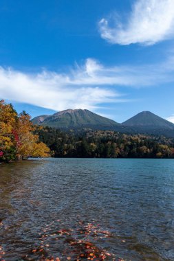 Hokkaido 'da Onneto Gölü' nün sonbahar yaprakları.