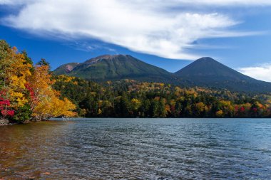 Hokkaido 'da Onneto Gölü' nün sonbahar yaprakları.