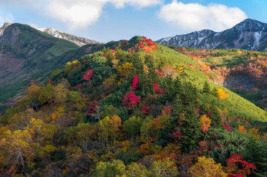 Hokkaido 'daki Tokachi-Dake dağlarının sonbahar yaprakları (akşam manzarası))