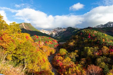 Hokkaido 'daki Tokachi-Dake dağlarının sonbahar yaprakları (akşam manzarası))