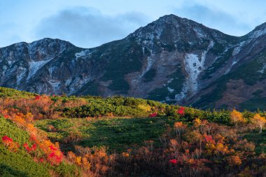 Hokkaido 'daki Tokachi-Dake dağlarının sonbahar yaprakları (akşam manzarası))