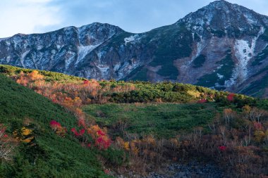 Hokkaido 'daki Tokachi-Dake dağlarının sonbahar yaprakları (akşam manzarası))