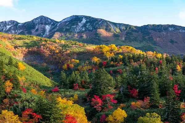 stock image Autumn leaves of Tokachi-Dake mountains in Hokkaido (evening view)