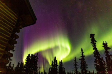 Kuzey Işıkları Fairbanks, Alaska