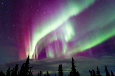 Kuzey Işıkları Fairbanks, Alaska.