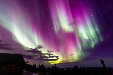 Kuzey Işıkları Fairbanks, Alaska.