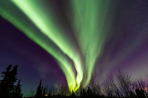 Northern Lights in Fairbanks, Alaska.