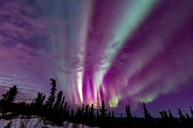 Kuzey Işıkları Fairbanks, Alaska.
