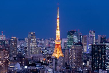 Tokyo, Japonya 'nın gece manzarası.