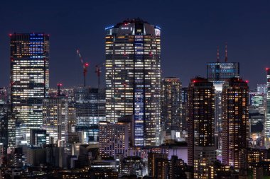 Tokyo, Japonya 'nın gece manzarası.