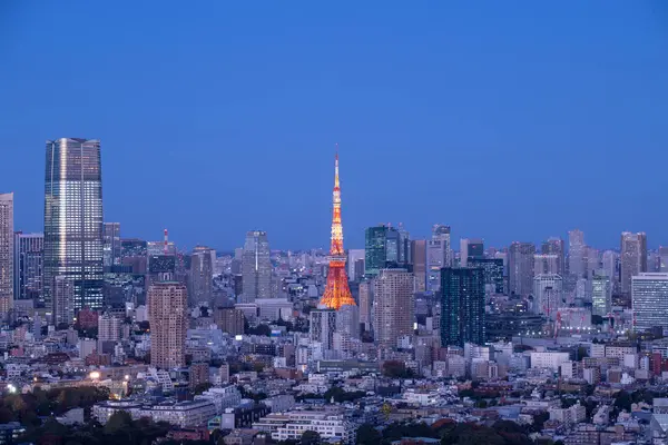 Tokyo, Japonya 'nın gece manzarası.