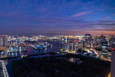 Tokyo, Japonya 'nın gece manzarası.