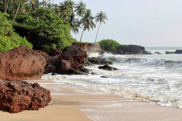 Seaside view with rock and lush green nature near beach side along with coastal and sea waves crashing into rocks located at kannur beach kerala india