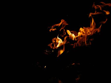 Kamp ateşi siyah arka planda yanan alevler. Siyah üzerine kamp ateşi. Ayrı bir gece turuncu sarı alevler normal ilerliyor.