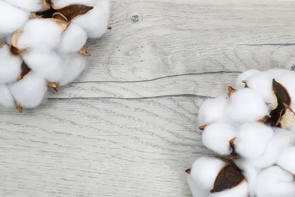 cotton balls with cotton flowers on light wooden table