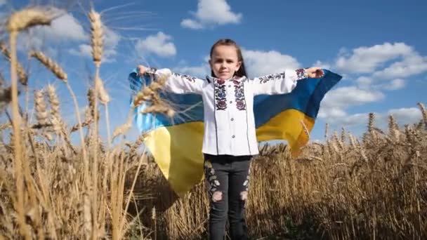 Красивая Украинка Флагом Руках Бежит Пшеничному Полю Победа Войне Свобода — стоковое видео