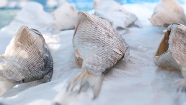 Getrocknete Fischkadaver Auf Dem Tisch Auf Dem Fischmarkt Verzehr Von — Stockvideo