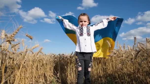 Una Niña Con Una Bandera Ucraniana Campo Trigo Concepto Libertad — Vídeo de stock