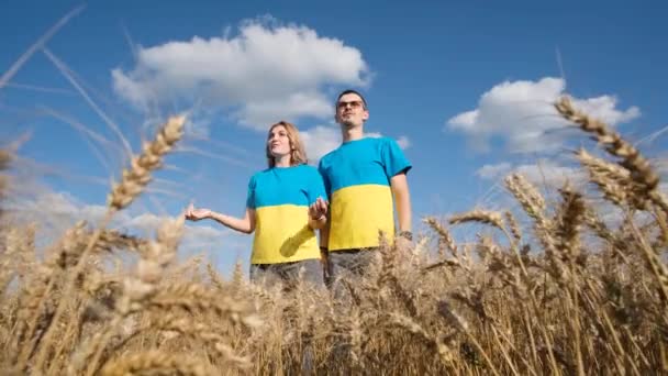 Українська Пара Одягнена Синій Жовтий Кольори Стоїть Посеред Пшеничного Поля — стокове відео