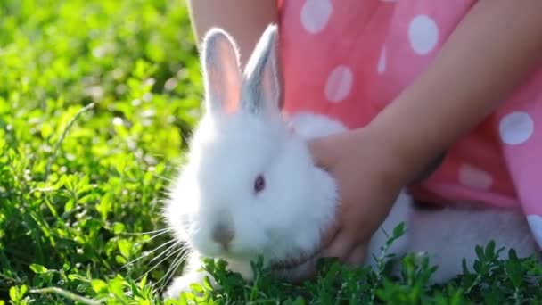 Yeşil Çimlerin Üzerinde Oynayan Güzel Küçük Bir Kız Elinde Beyaz — Stok video