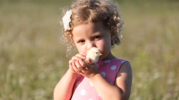 Uma Criança Pequena Uma Fazenda Segurando Pequeno Frango Suas Mãos — Vídeo de Stock