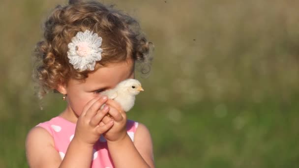 Een Klein Meisje Speelt Met Kleine Kippen Prachtig Krullend Haar — Stockvideo