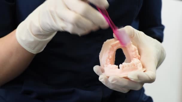 Крупный План Стоматолога Чистящего Зубы Клинике Стоматолог Показывает Пациенту Правильно — стоковое видео