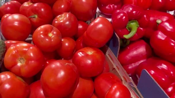 Eine Theke Einem Gemüsemarkt Mit Gemüse Der Saison Auswahl Gemüse — Stockvideo