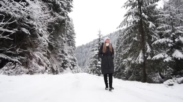 Mladá Krásná Dívka Chodí Zimě Lesa Dívka Kráčí Cestě Horách — Stock video