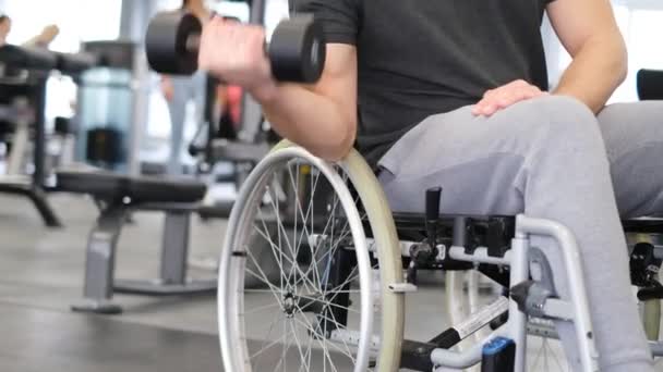 Tekerlekli Sandalyede Sakat Bir Adam Spor Salonunda Ağırlık Kaldırıyor Engelliler — Stok video