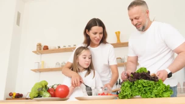 Mamãe Papai Sua Filhinha Juntos Preparam Uma Salada Saudável Vegetais — Vídeo de Stock