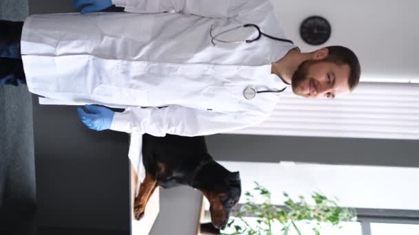 Porträt Eines Jungen Tierarztes Der Lächelnd Die Kameralinse Blickt Eine — Stockvideo