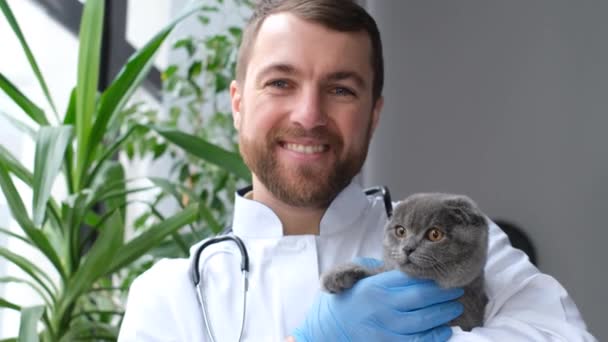 Porträt Eines Gutaussehenden Tierarztes Der Ein Kätzchen Auf Dem Arm — Stockvideo