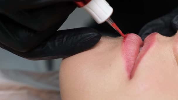 Ein Professioneller Meister Führt Lippenkorrekturen Durch Bleistift Für Permanentes Make — Stockvideo