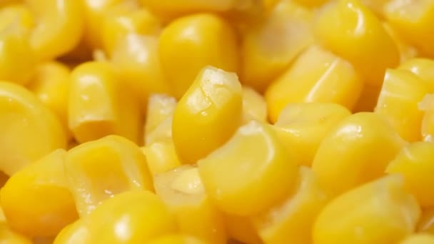 宏观视频中 成熟的黄玉米颗粒缓慢下落 健康的新鲜食品概念 玉米背景 — 图库视频影像