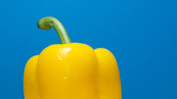 Macro Shot Yellow Bell Pepper Rotating White Background Yellow Fresh — Stock Video