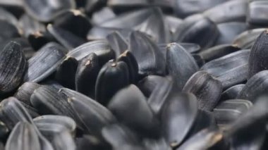 Kurutulmuş ayçekirdeği 200 fps hızla düşer. Ayçiçeği tohumlarının arka planı. Ayçiçeği yağı üretimi kavramı