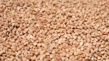 Ağır çekim. Kuru karabuğday dokusu. Karabuğday lapasının arkaplan görüntüsü. Karabuğday yetişiyor..