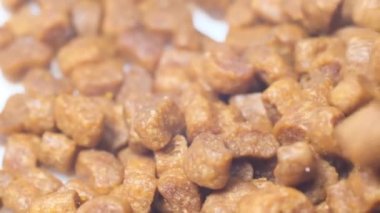 Dönüşümlü duran kediler için makro sağlıklı kuru yiyecek. Kuru evcil hayvan yiyeceği dönüşümlü. Ağır çekim. Evcil kediler için ince taneli yiyecek..